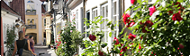 city life in aalborg