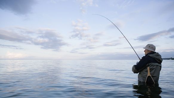 Fishing in the water by Aalborg