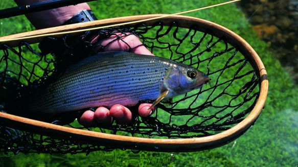 Himmerlands Fishing Park