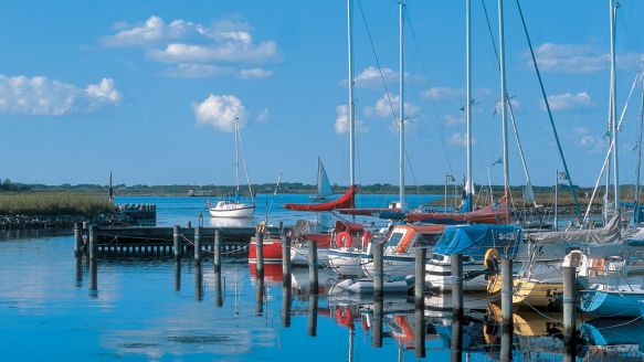 Sailing holiday in Aalborg and at Aalborg Coast
