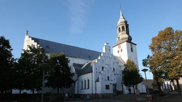 Budolfi Church
