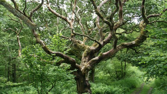 Fascinating nature on Livø