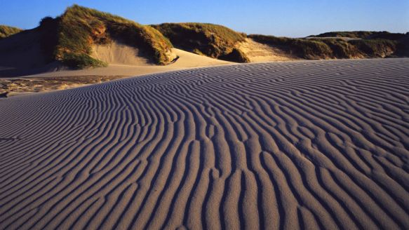 Råbjerg Mile by Skagen in North Jutland