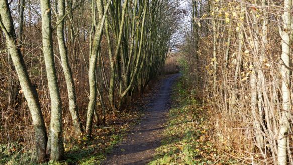 Nature camps in Aalborg