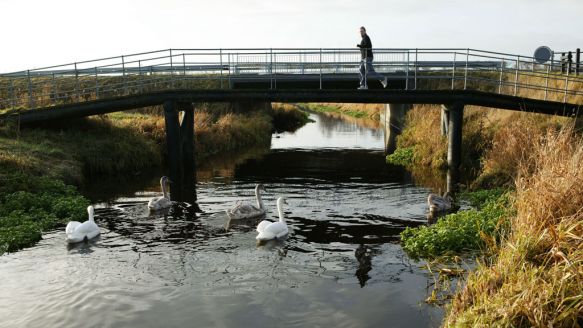 Exercise routes in Aalborg