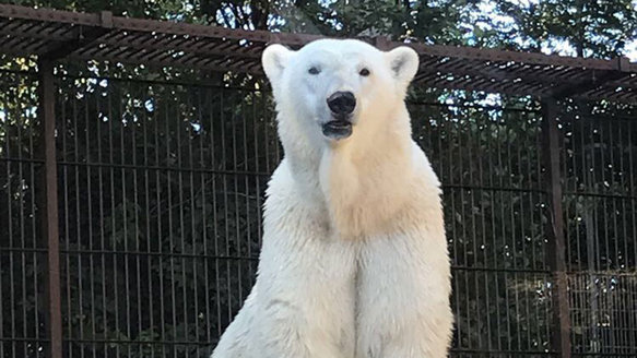 Aalborg Zoo