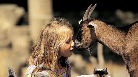 Aalborg Zoo