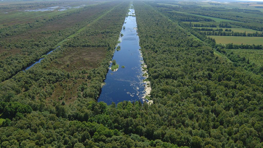 Portlands Moor near Aalborg