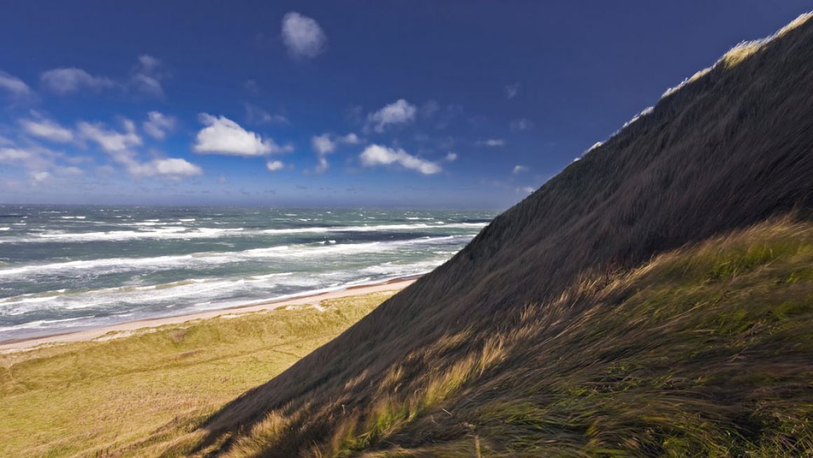 The coast of North Jutland