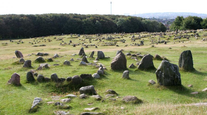 The Vikings in Aalborg
