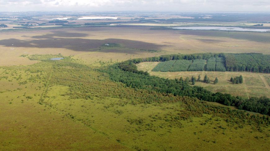 Lille Vildmoses beautiful wilderness