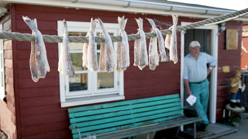 Fish from the wild West Coast