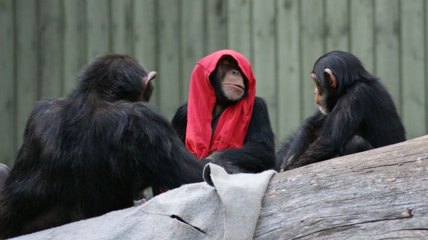 Aalborg Zoo