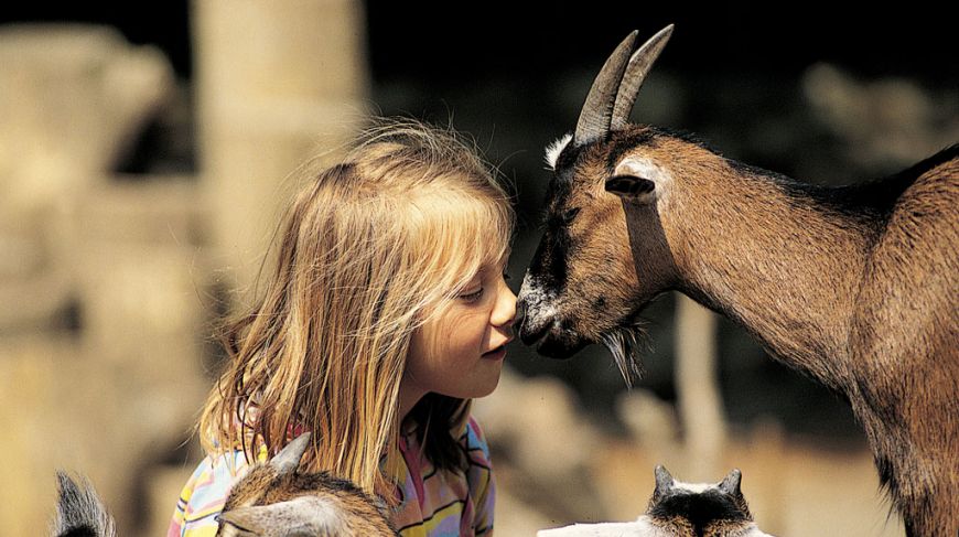 Aalborg Zoo